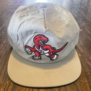 Mitchell & Ness Raptors Hat adjustable